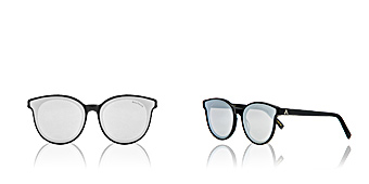 PALTONS ARUBA TITANIUM 3602 Paltons