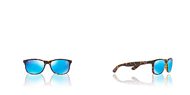 RAY-BAN RB4202 710/9R  Ray-ban