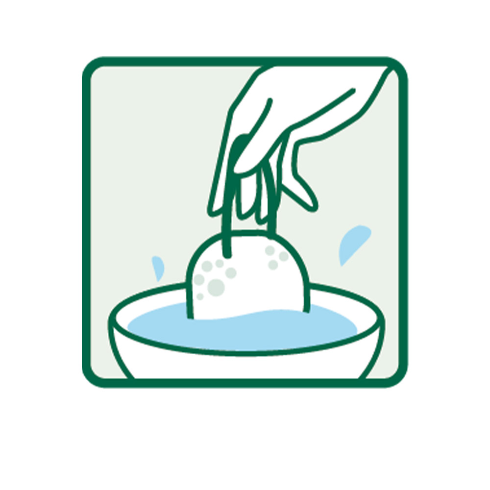 BIO KONJAC ecological exfoliatingcleansing sponge Sponges Garnier