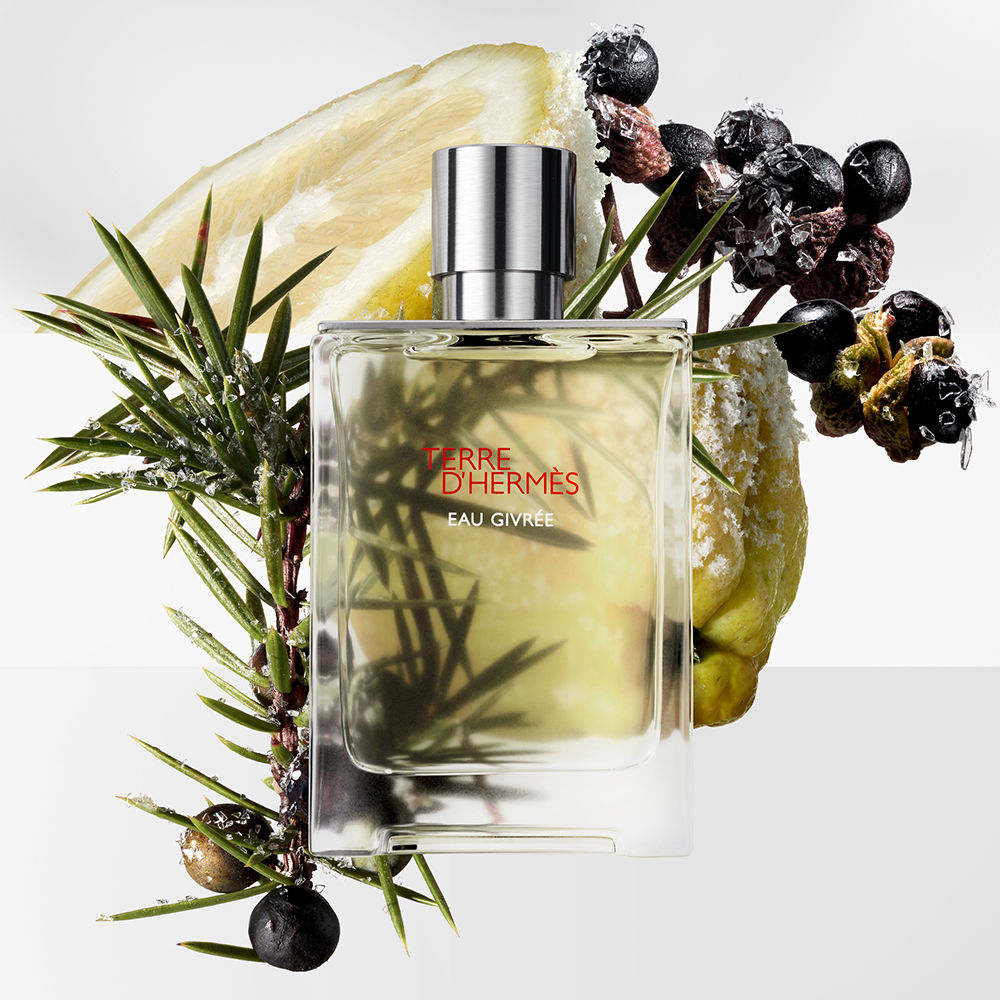 HERMÈS Typ Perfum TERRE D'HERMÈS EAU GIVRÉE · Najlepsze Ceny