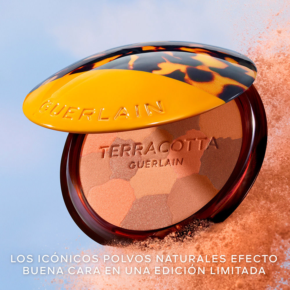 テラコッタ ライト 限定版 ライトブロンズパウダー Guerlain