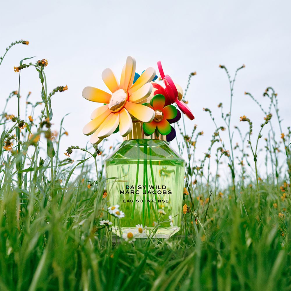DAISY WILD EAU SO INTENSE
