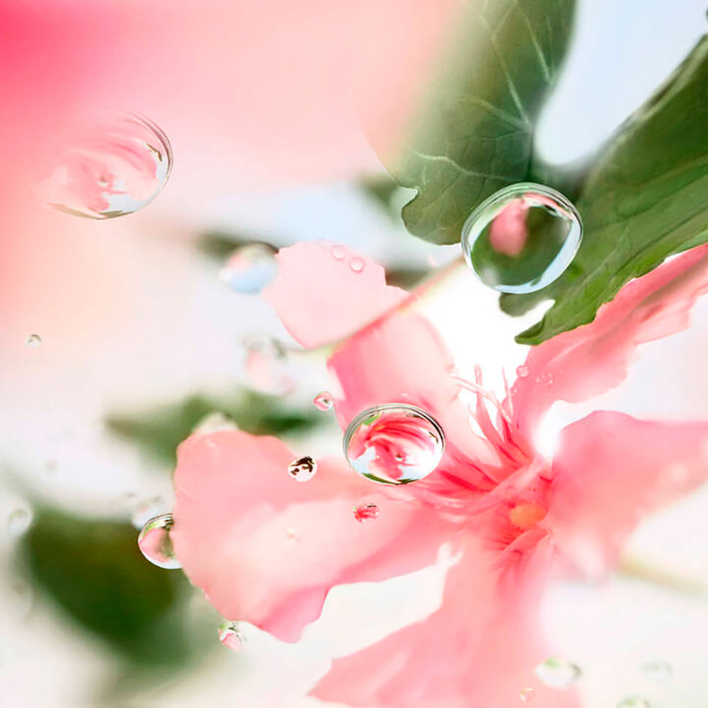 ボディミスト LANCOME OVER THE TOP Eau de Toilette ボディミスト LANCOME OVER THE TOP Eau de Toilette Lancome Unisex