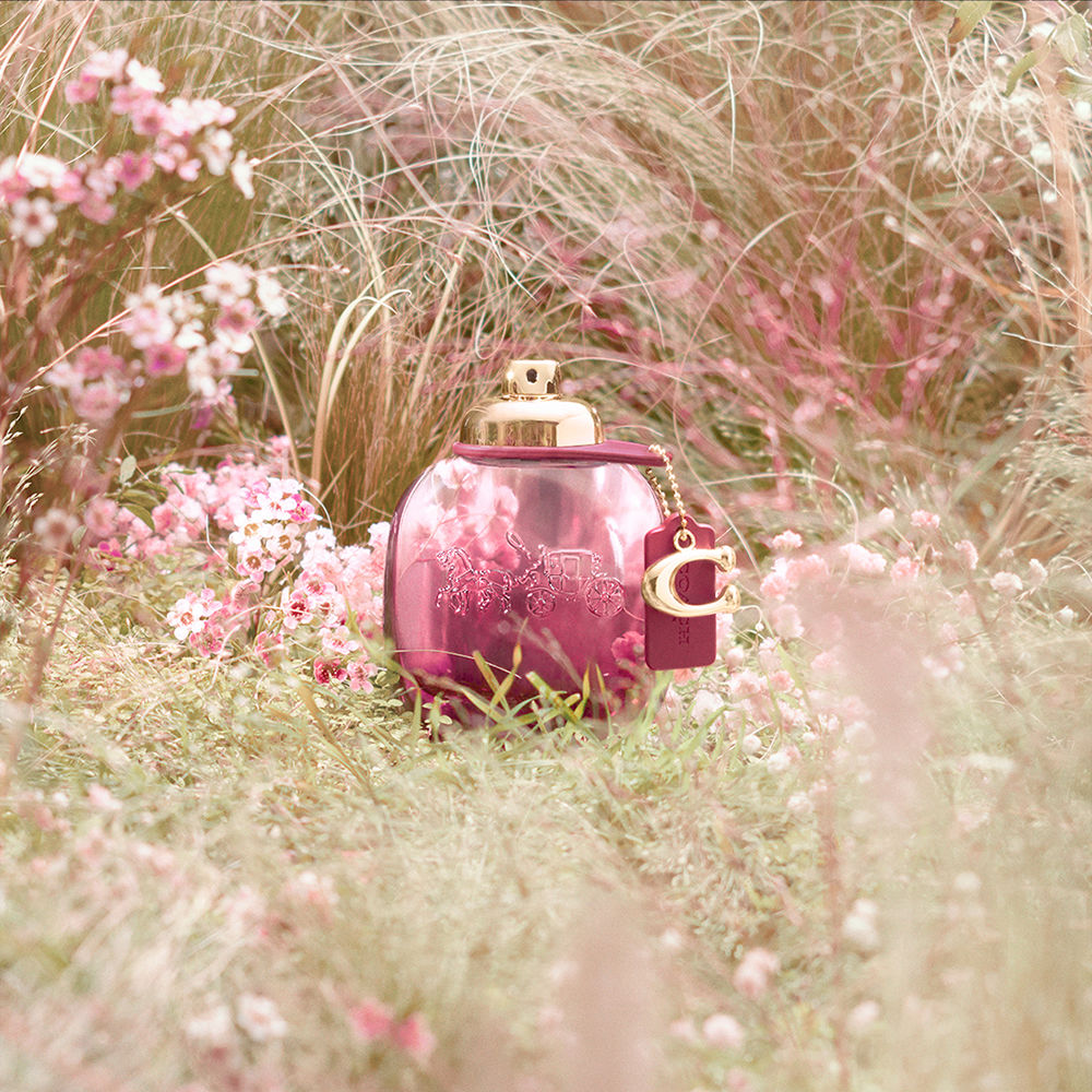 COACH WILD ROSE perfume EDP · Buy Online at Best Price