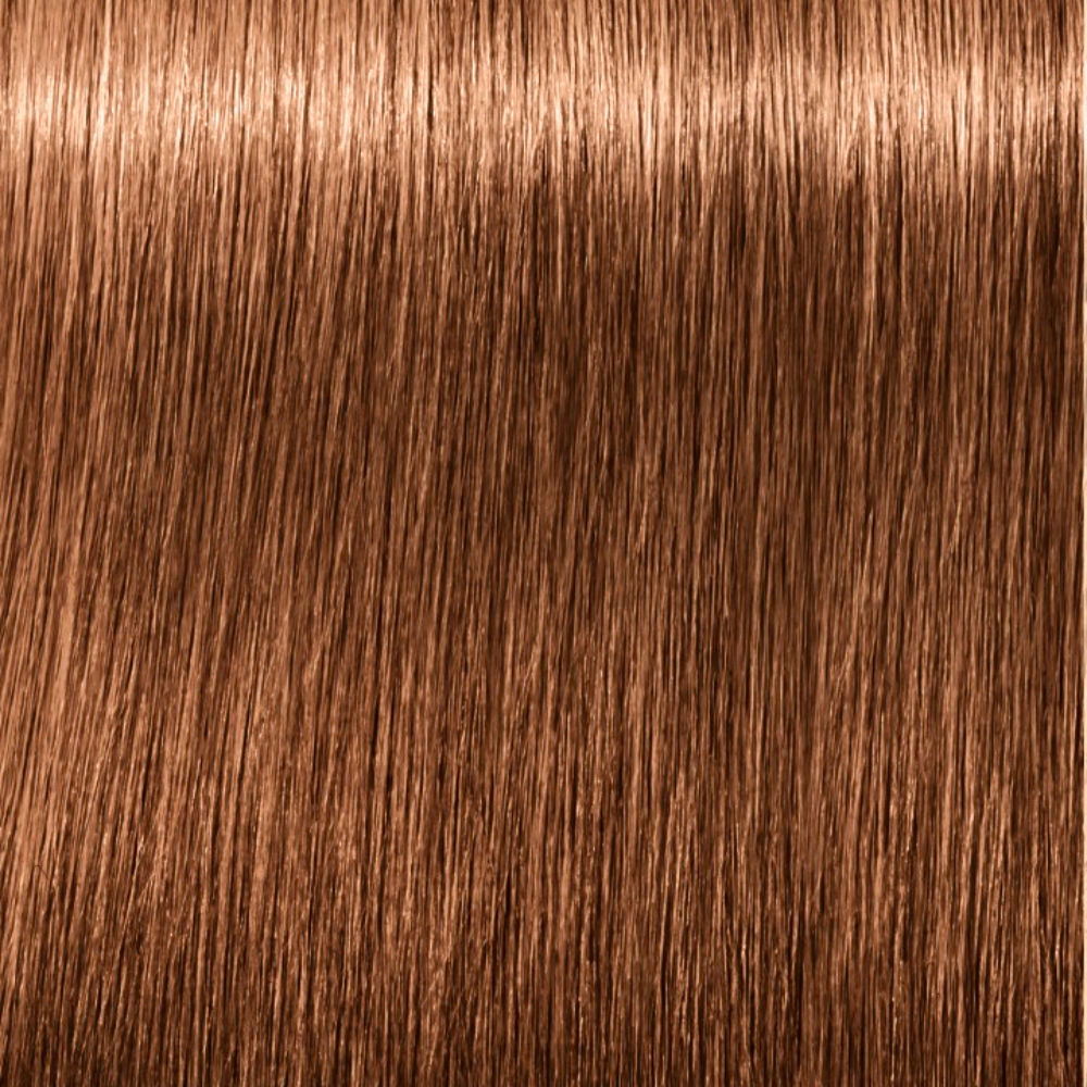 Schwarzkopf Igora Royal 6 6 60 Ml - vue 10