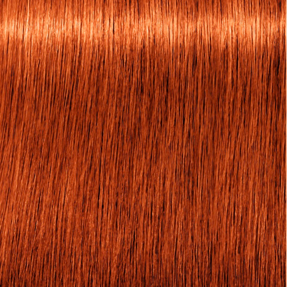 Schwarzkopf Igora royal - Coloration de cheveux - vue 6