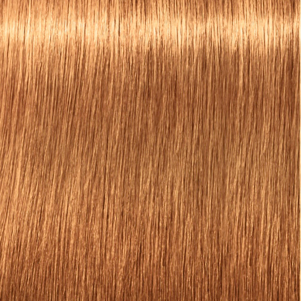 Igora Royal Absolutes #6 70 - vue 4