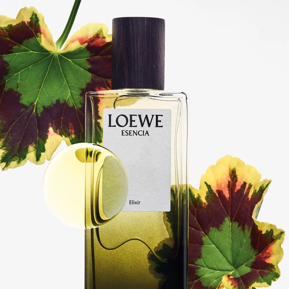 ESENCIA ELIXIR parfum EDP · Meilleurs Prix en Ligne ESENCIA ELIXIR parfum EDP · Meilleurs Prix en Ligne