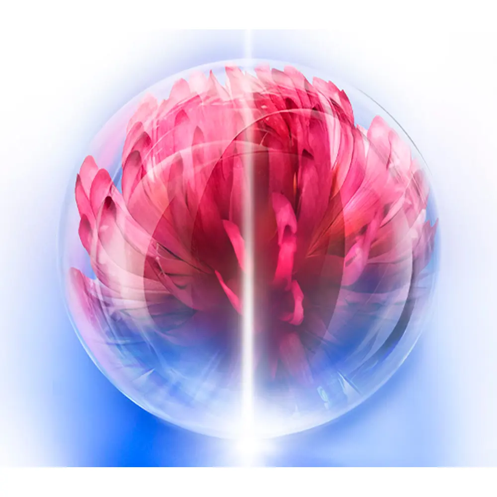 バイオパフォーマンススキンハイフォースクリーム、フェイシャル