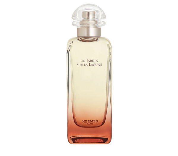 エルメス　HERMES UN JARDIN SUR LA LAGUNE 50ml 108094.jpg