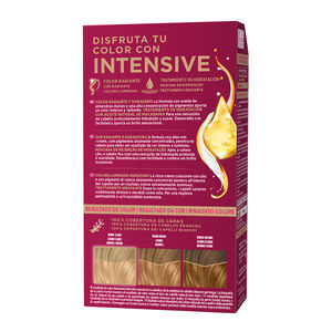 PALETTE INTENSIVE tinte