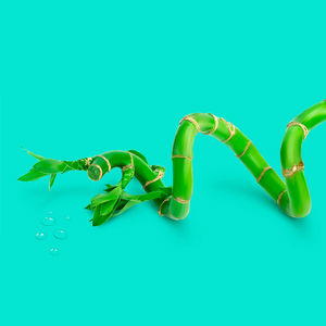 REVITALIZING moisturizing lotion