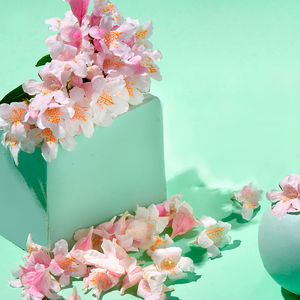 TINTED moisturizing cream