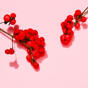 WRINKLE SMOOTHING rich cream