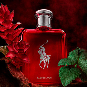 POLO RED