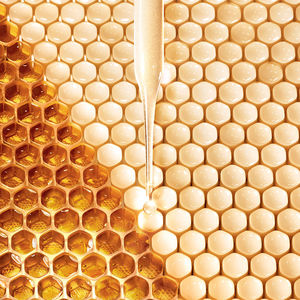ABEILLE ROYALE loción fortificante con jalea real