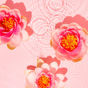 ANTI BLEMISH SOS gel