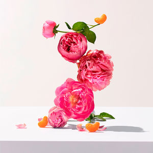 Bem-estar da água perfumada ROSE
