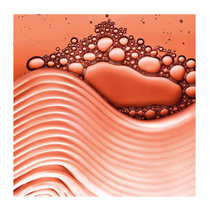 ELVIVE DREAM LONG súper acondicionador reconstructor