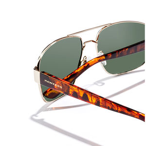FALCON polarized