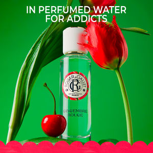Lait corporel GINGEMBRE ROUGE