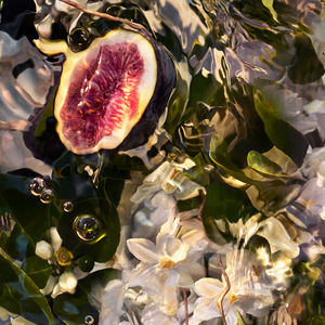 AQUA ALLEGORIA NEROLIA VETIVER