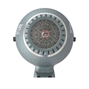 PARLUX DIGITALYON Trockner