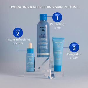 AQUA BEELICIOUS PERFECTING &amp; MOISTURIZING TONER