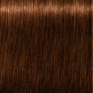 IGORA ROYAL ABSOLUTES 8-60