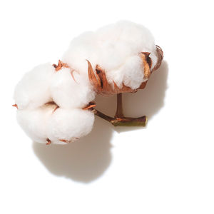 INVIGO VOLUME BOOST Shampoing Cheveux sans volume