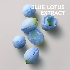 SPECIALISTS volumizing spray