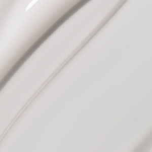 SPECIALISTS color sealer