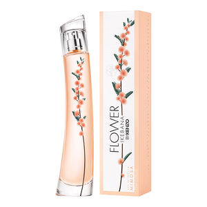 FLOWER IKEBANA MIMOSA BY KENZO
