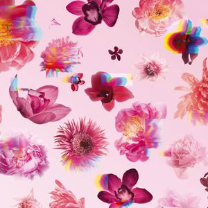FLOWERBOMB