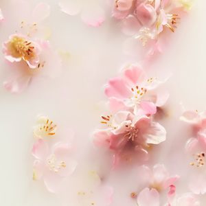 THE RITUAL OF SAKURA fragrance sticks