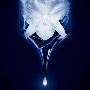 ORCHIDÉE IMPÉRIALE concentrado