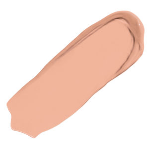 BAREPRO 16HR WEAR All Over Skin Perfecting Matte Concealer
