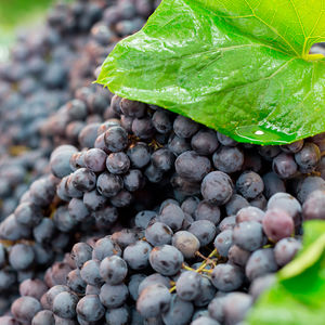 クレーム ド コール ナリッシング ドライ ボディ オイル