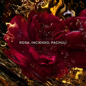 ABSOLUS ALLEGORIA ROSE AMIRA