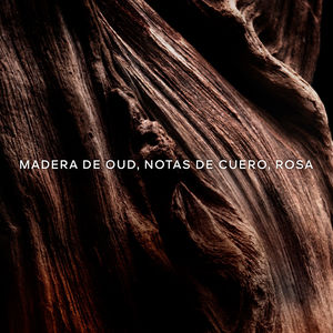 ABSOLUS ALLEGORIA OUD ESSENTIEL