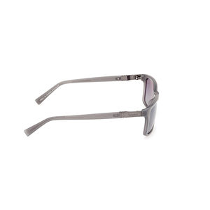 TB00019 POLARIZED