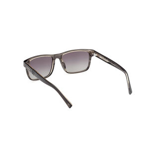 TB00020 POLARIZED
