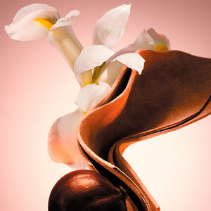 THE SCENT FOR HIM LE PARFUM