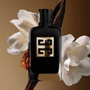 GENTLEMAN SOCIETY AMBRÉE
