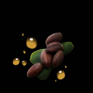 Il balsamo leggero DARK OIL idrata e ammorbidisce