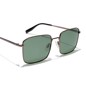 IRIS polarized