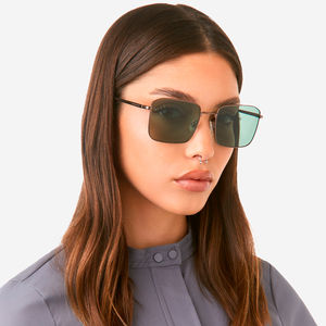 IRIS polarized