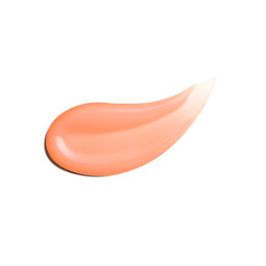 LIP PERFECTOR Lipgloss