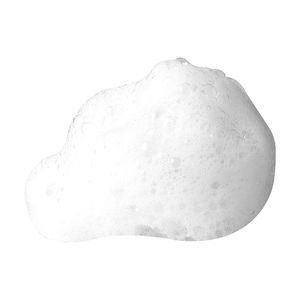 PHA &amp; SAPONARIA purifying foaming cleanser