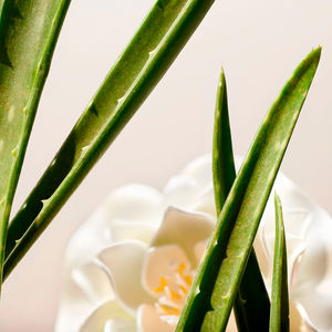 THE RITUAL OF NAMASTE clarifying facial toner